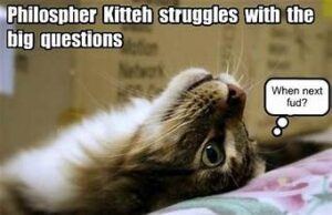 Philosopher cat