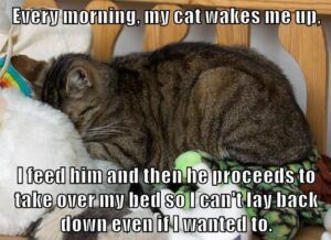 Wake-up call