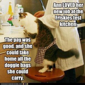 Cat with apron helping in Friskies test kitchen