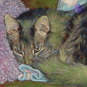 Old long-haired cat sleeping