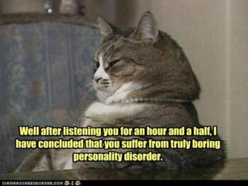 Cat concluding person is boring