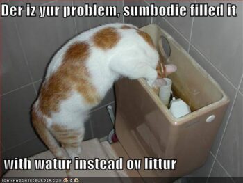 Cat looking in back of toilet, saying, "Der iz yur problem, sumodie filled it with water instead ov littur