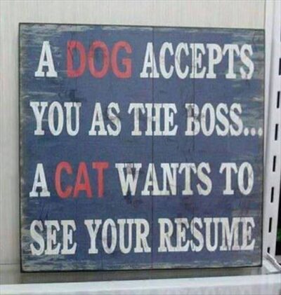 A dog accepts you as the boss; a cat wants to see your resume