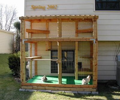 Catio