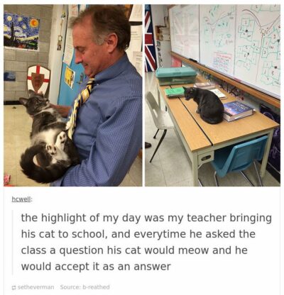 Teacher taking cat to school