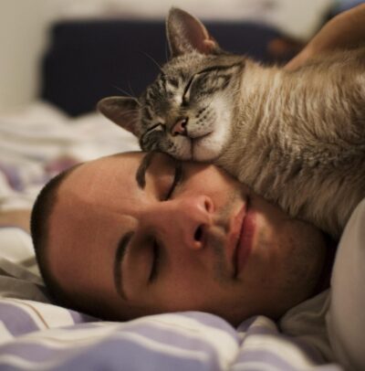 Man and cat sleeping cheek to cheek