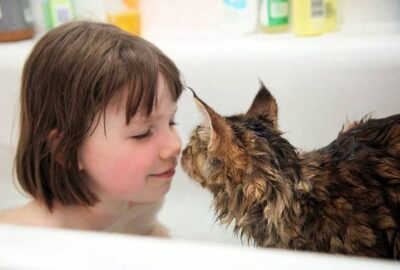 cat and child touching noses