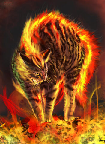 Cat of fire