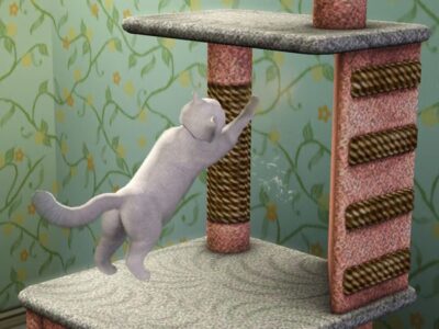 Fancy Cat Scratching Post