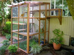 Catio very similar to mine