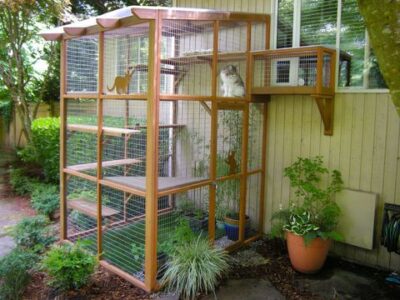 Catio very similar to mine