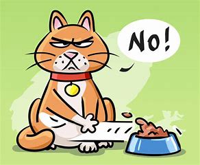 Cartoon of cat shoving away food; saying "no"