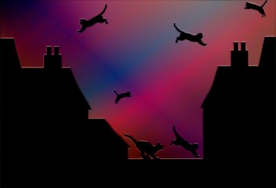 Cats leaping from roof to roof: silhouettes