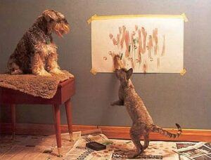 Cat painging while dog watches