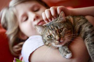Child holding cat; scratching its head