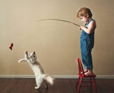 Small boy standing on chair playing with cat with fish toy on pole