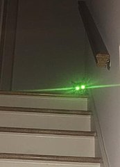 Cat at night; eyes glowing