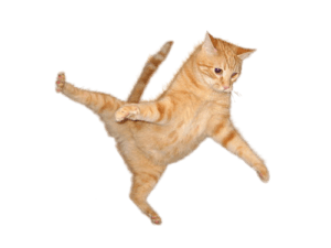 Orange cat sailing high in air
