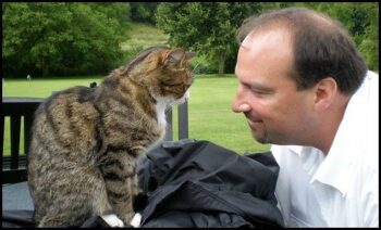 Tiger cat and man in close communication