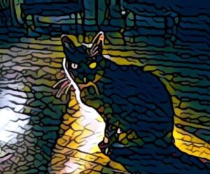 cat drawing using broken dark lines