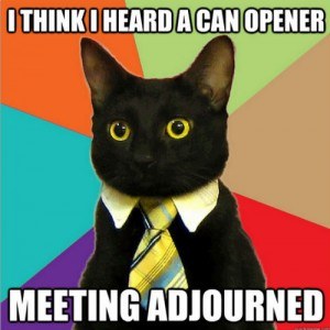 Black cat: "I think I heard a can opener -- meeting adjourned"