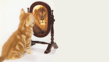 Small cat gazing in mirror and seeing lion image