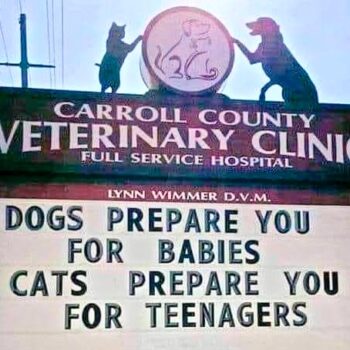 Vet sign: "Dogs prepare you for babies; cats prepare you for teenagers