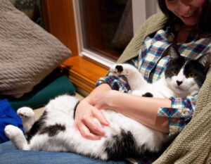 Cat cuddled in woman's lap