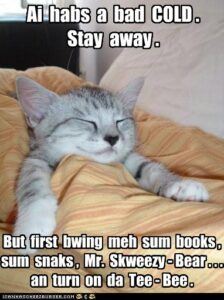 kitten wrapped in blankets, feeling low