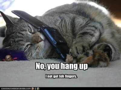 Cat on phone: No, you hang up -- I not got teh fingers